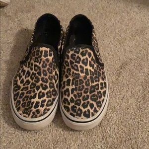 Cheetah vans